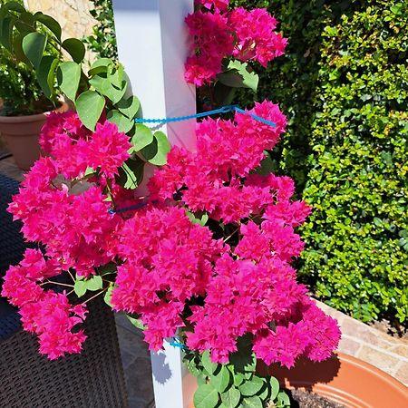 Villa Mariamar Albufeira Exteriér fotografie