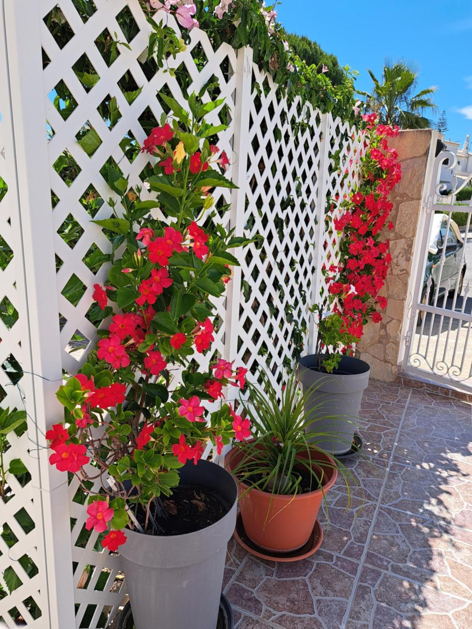 Villa Mariamar Albufeira Exteriér fotografie